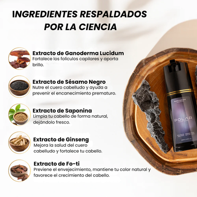 Champú Coloración Instantánea – 200 ml (6.76 fl oz)